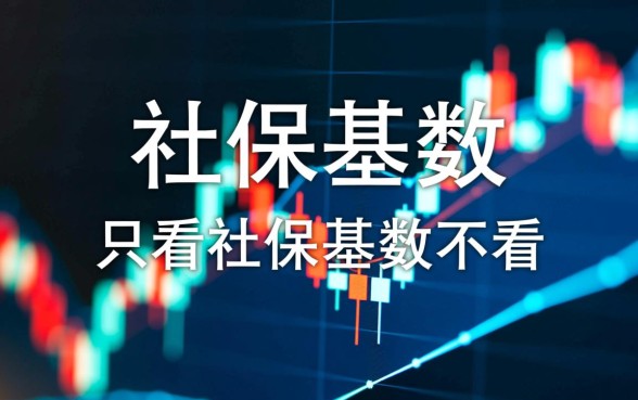 什么借款只看社保基数不看年限呢