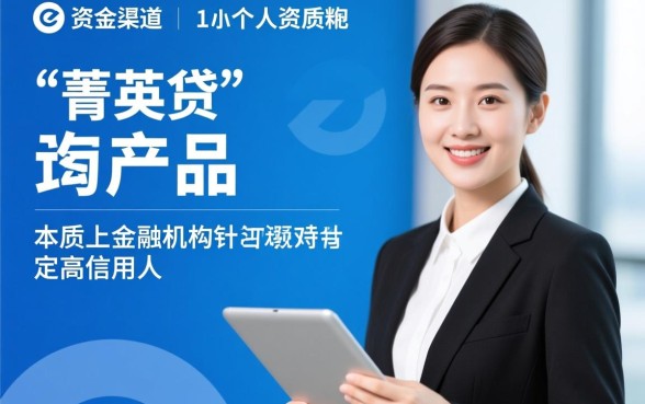 类似菁英贷app一样的贷款口子有哪些