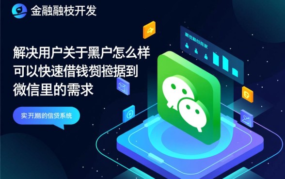 黑户怎么样可以快速借钱到微信里