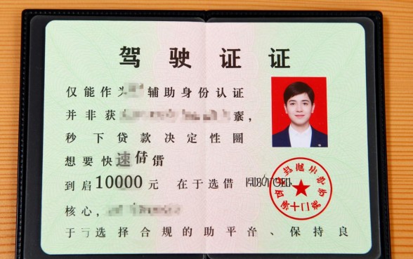 有驾驶证秒下1000网贷APP有哪些