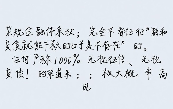 有什么口子不看征信负债能下款的