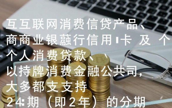 哪个借款平台可以分24期还款