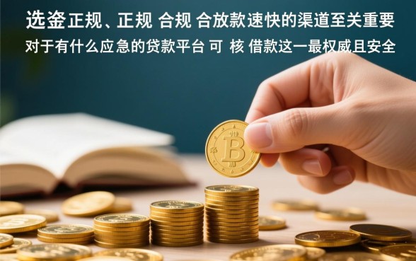 有什么应急贷款平台