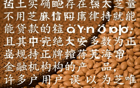 不用芝麻信用就能贷款的app有哪些