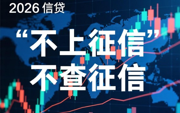 什么贷款申请时不查询征信记录