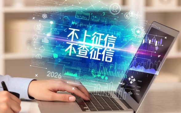 什么贷款申请时不查询征信记录