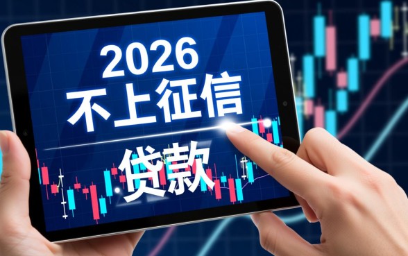 什么贷款申请时不查询征信记录