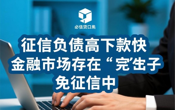 免征信负债高下款快的贷款口子哪里有