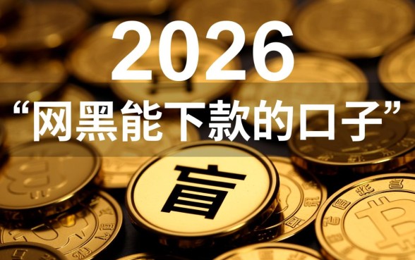 2026最新网黑能下款的口子有哪些,网黑户哪里能借到钱 2026最新网黑能下款的口子有哪些