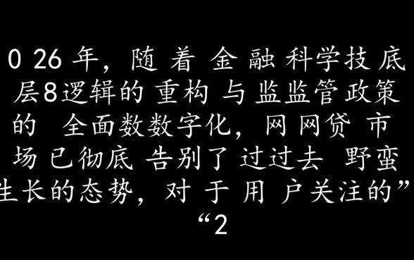 2026年网贷新口子能下款吗