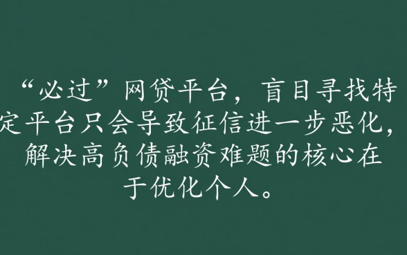 负债太高哪个网贷能过2026