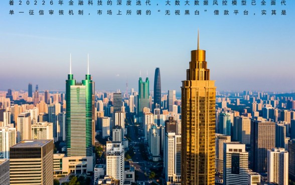 2026年无视黑白的借款平台有哪些