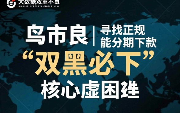 谁有双黑可以分期下款的口子呀