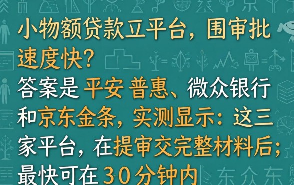 哪个小额贷款平台审批速度快,审批快的小额贷款平台有哪些 哪个小额贷款平台审批速度快