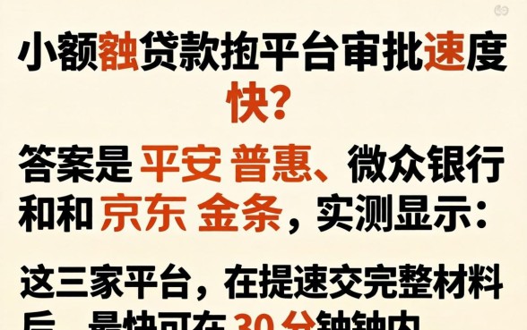 哪个小额贷款平台审批速度快,审批快的小额贷款平台有哪些 哪个小额贷款平台审批速度快