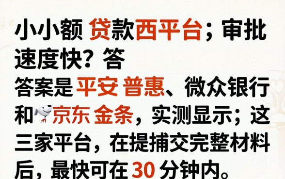 哪个小额贷款平台审批速度快,审批快的小额贷款平台有哪些 哪个小额贷款平台审批速度快