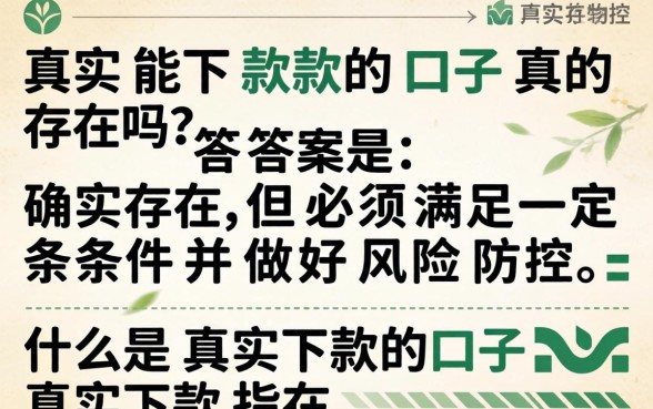 2026年还能下款的口子在哪