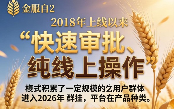 小麦金服现在还能成功下款吗,2026年还能下款吗 小麦金服现在还能成功下款吗
