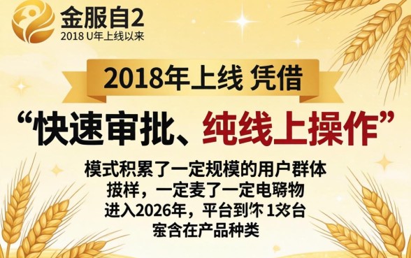 小麦金服现在还能成功下款吗,2026年还能下款吗 小麦金服现在还能成功下款吗