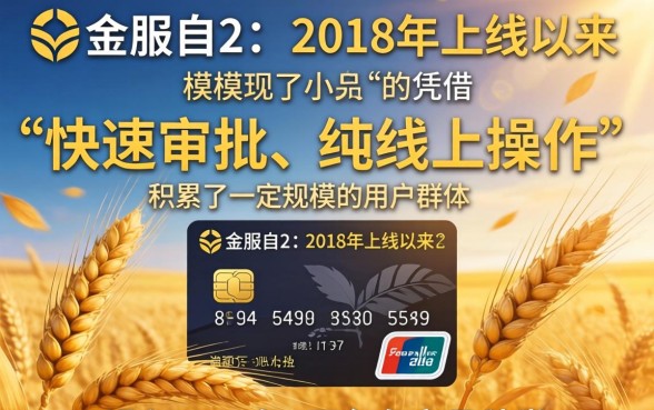 小麦金服现在还能成功下款吗,2026年还能下款吗 小麦金服现在还能成功下款吗