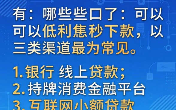 有哪些口子可以低利息秒下款