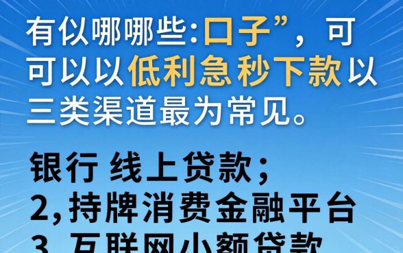 有哪些口子可以低利息秒下款