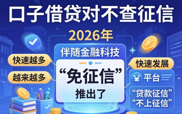 哪些口子可以借贷时不查征信