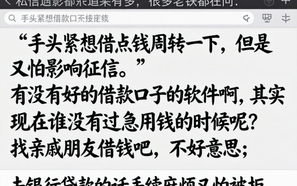 有没有好的借款口子的软件，枚举五个审贷口子审核加快的口子