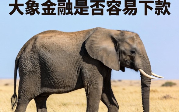 大象金融容易下款吗，整合五个无视黑白百分百下款的借款口子