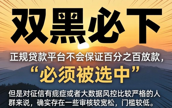 2026年双黑必下的口子,鼎力推荐5个满19岁可以借款的app