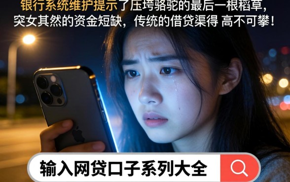 网贷口子系列大全，整理5个不看年龄征信负债的软件