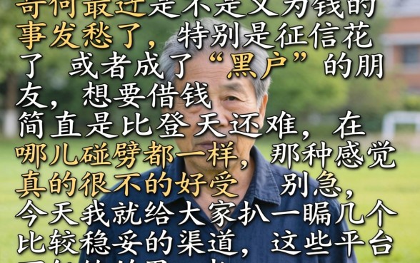 征信黑花了可以申请保单吗，热忱推荐5个无视征信黑户口子