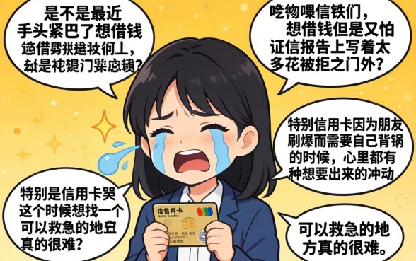 信用卡被朋友刷爆怎么起诉，陈列五个手机可以临时借钱的app