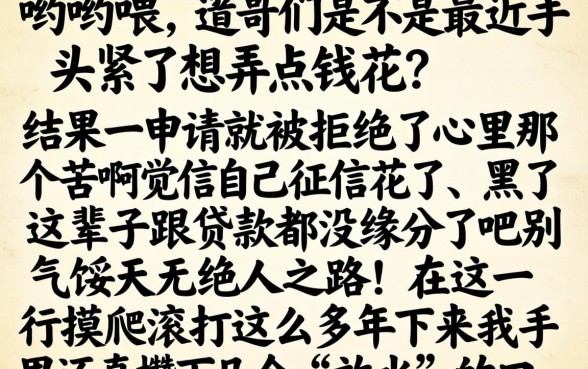 什么借款不看黑白户信用，规整5个放水的贷款口子
