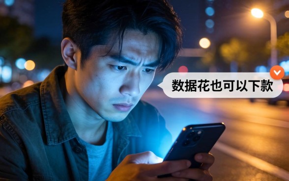 数据花下款的分期口子，整合5个审贷口子审核加快的软件