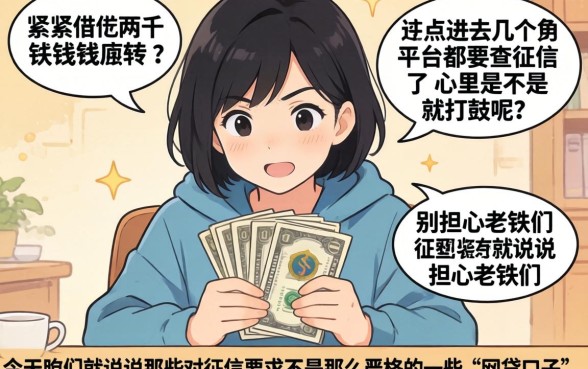 小额贷款2000元的平台，深入剖析5个11月能贷款的口子