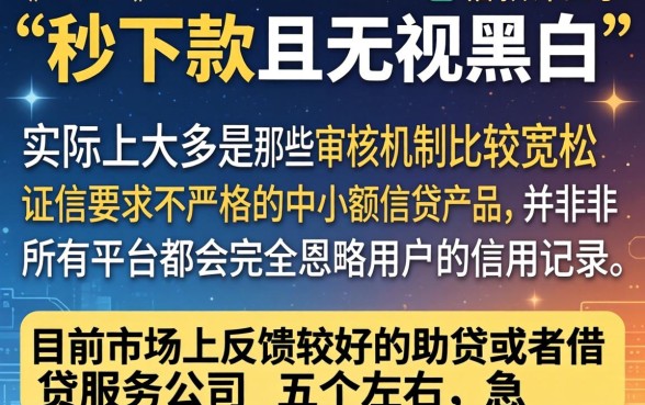 秒下款的口子无视黑白，枚举五个无视黑白无视征信申请就下款的口子