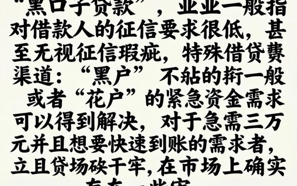 黑口子贷款是什么意思，诚意推荐五个黑户急需三万秒到的的平台