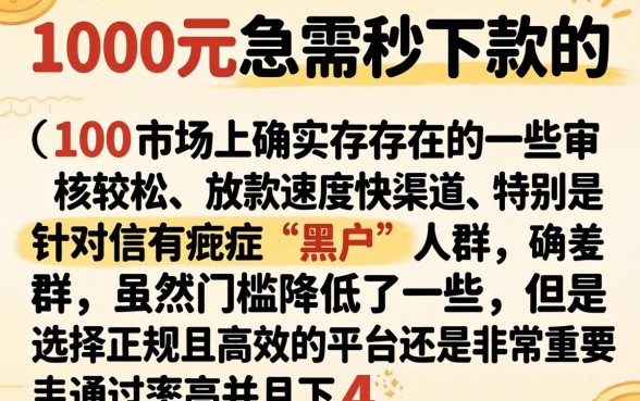 1000元秒下款的口子，揭秘五个黑户快速下款的口子