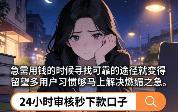 24夜间审核秒下款的口子，深入剖析五个分期有额度的网贷软件