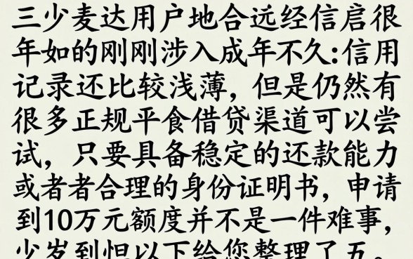 20岁可以借钱的平台，详尽说明5个贷款10万比较容易的平台