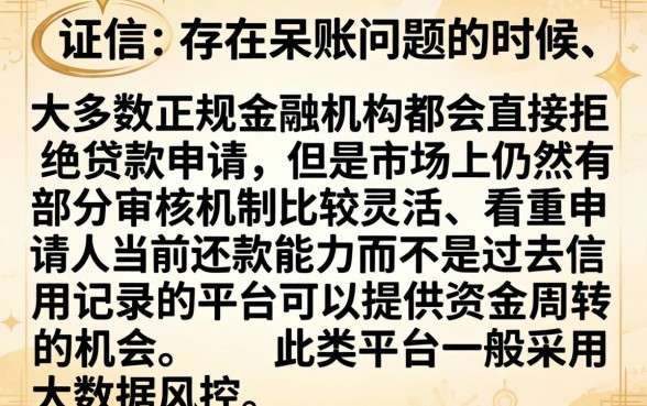 征信有呆账能下款的口子，精选5个闪电审批的口子