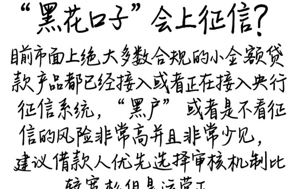 黑花口子网贷上征信吗，鼎力推荐五个比较好的小额贷款软件