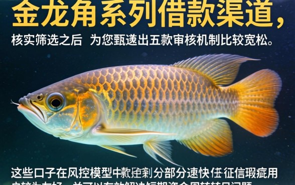 和金龙鱼同系列借款口子，鼎力推荐5个714无视逾期秒下的口子