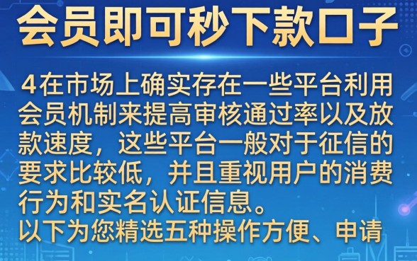哪些买会员秒下款的口子，精选五个正规不看征信的小额贷款软件