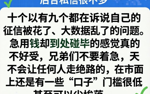 无视一切黑白口子，胪列5个快速下款无视征信的软件
