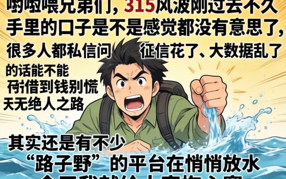 315后还有什么下款的口子，揭秘5个网贷无视不查征信平台