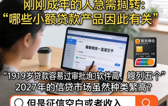 哪些小额贷款产品通过率较高,胪列5个19岁贷款容易过审批的软件