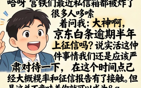 京东白条逾期半年上征信么，概览五个5000块贷款秒下口子