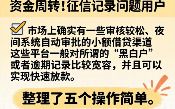 夜间无视黑白逾期,规整五个简单容易贷款口子